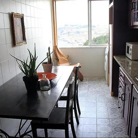 Historical Porto/gaia Apartment Porto